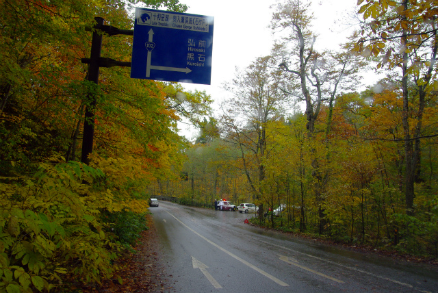 d0165378_10204614.jpg