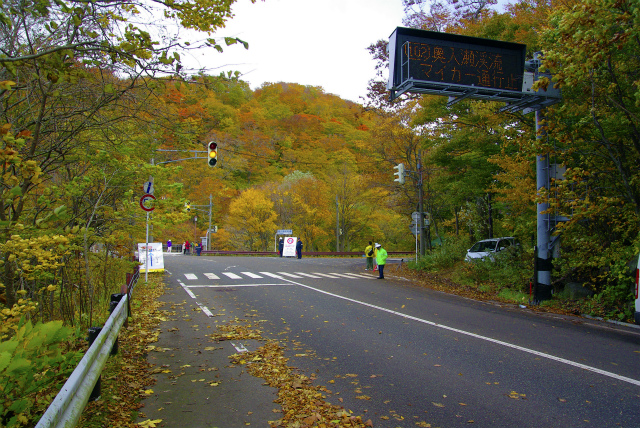 d0165378_10212484.jpg