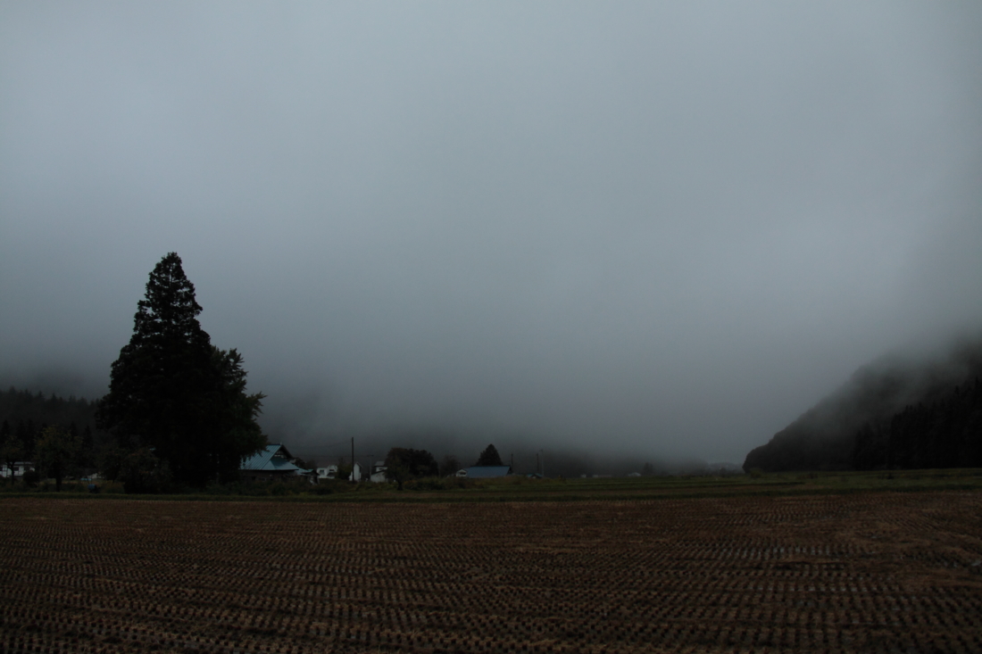 e0249878_034264.jpg