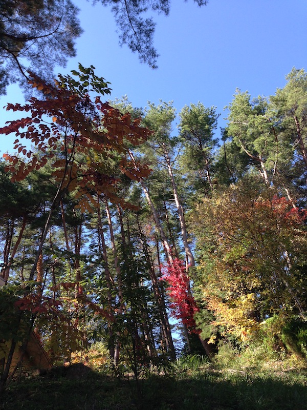 e0195583_2215321.jpg