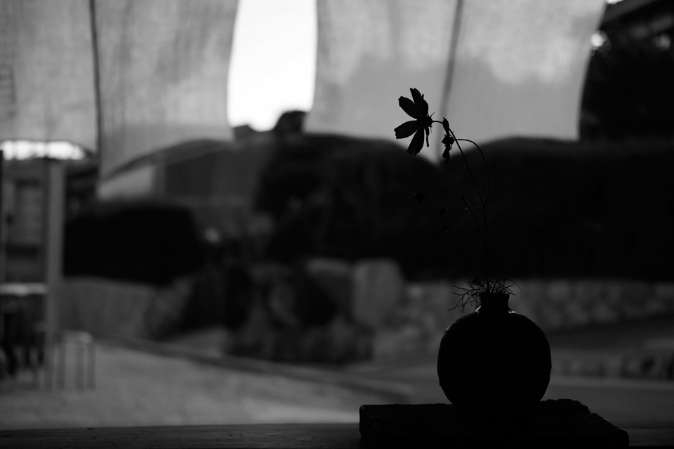 c0059485_0145892.jpg