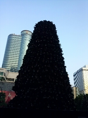 d0284785_12293267.jpg