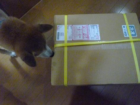 c0123890_20431366.jpg