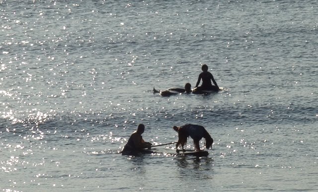 f0137694_18201379.jpg