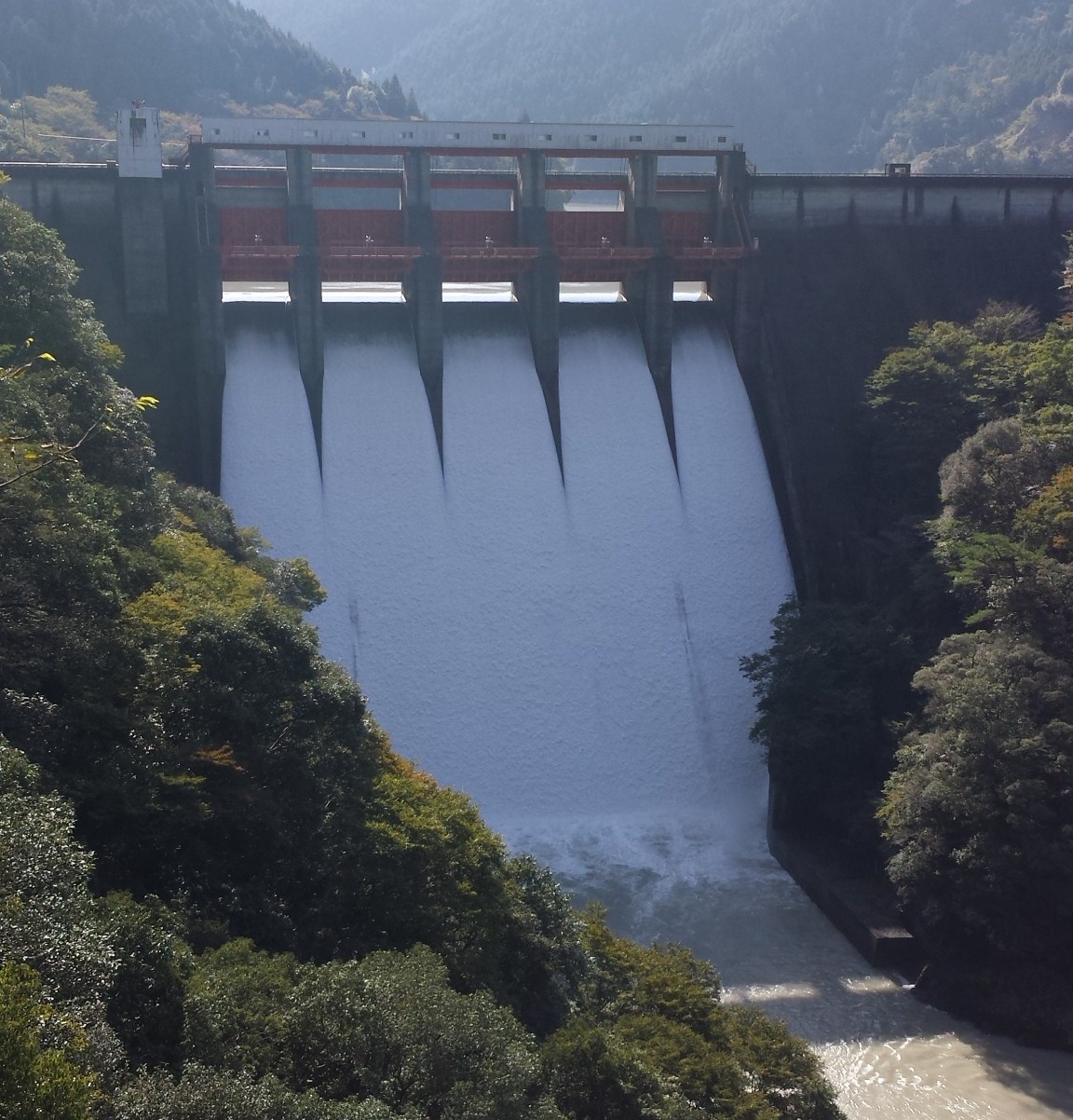 a0143296_1813817.jpg