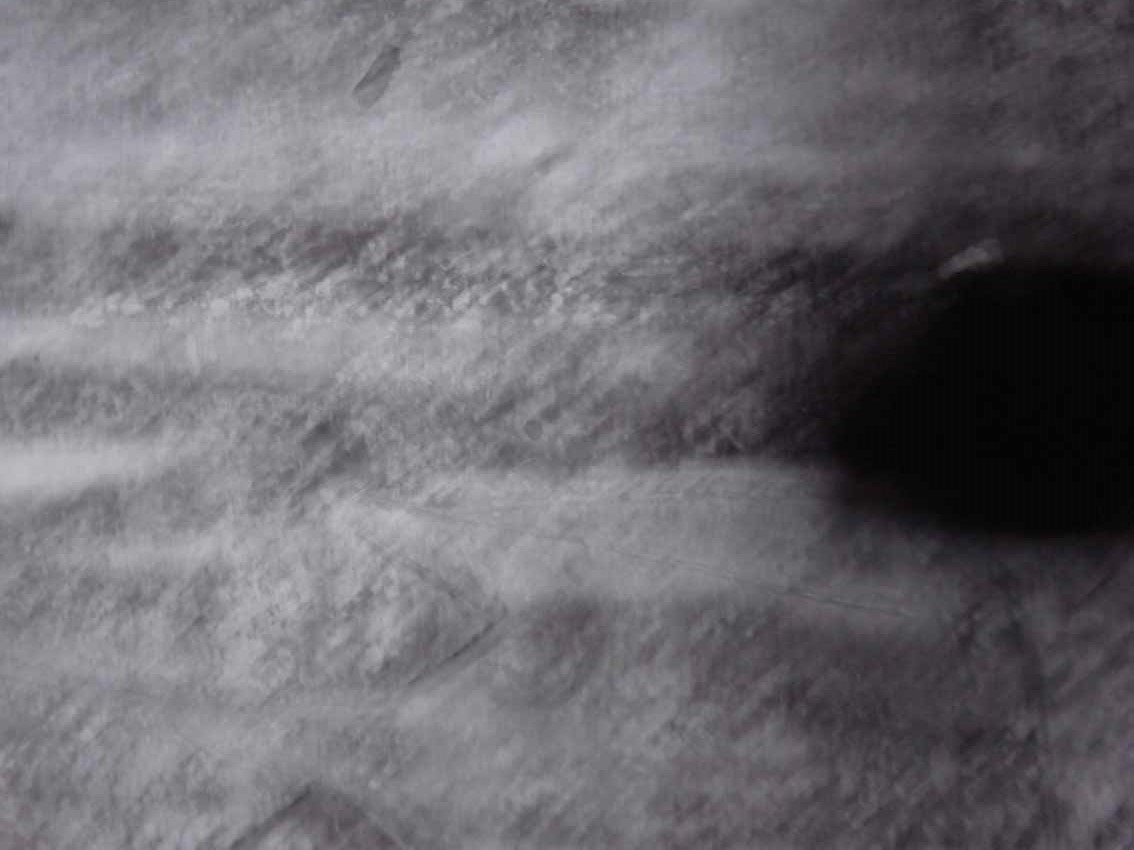 a0315601_1938365.jpg