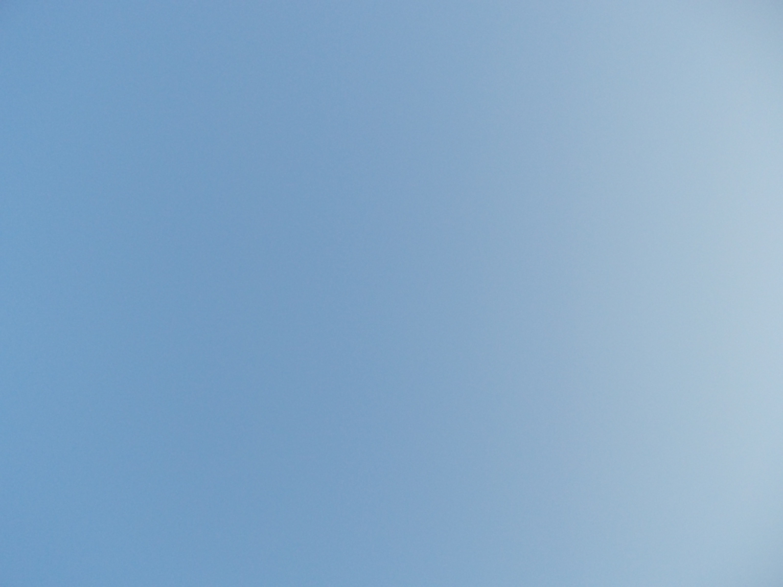 b0277505_20515851.jpg