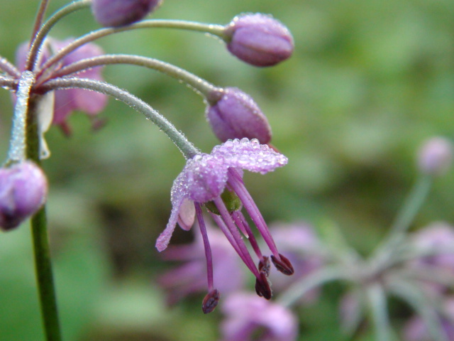 f0231709_11272731.jpg