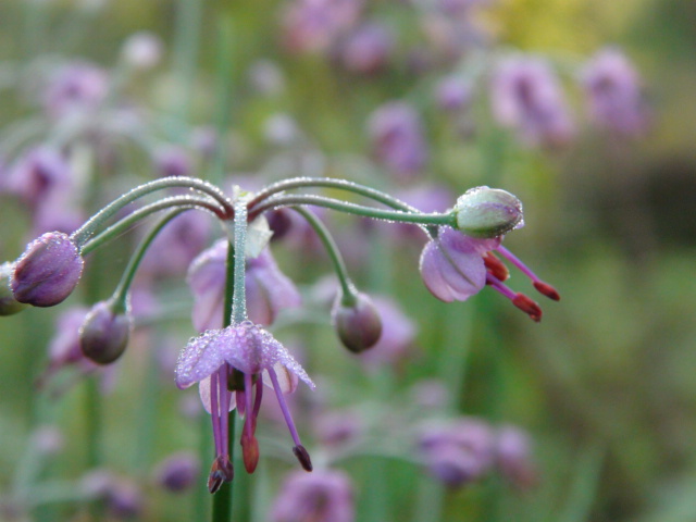 f0231709_11292011.jpg