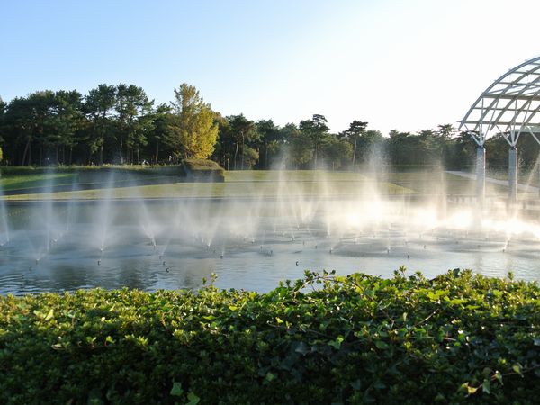 f0006510_0285028.jpg