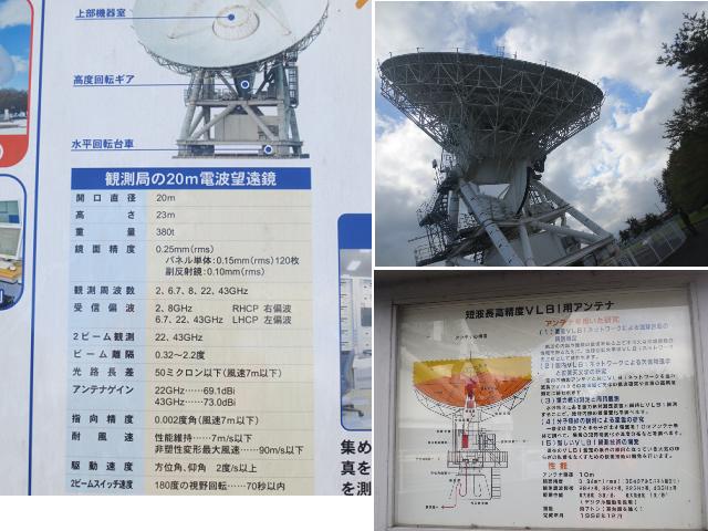f0248616_1214525.jpg