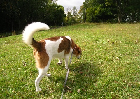 c0084117_1823461.jpg