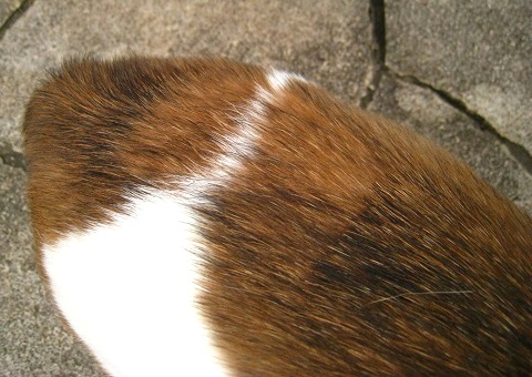 c0084117_1835358.jpg