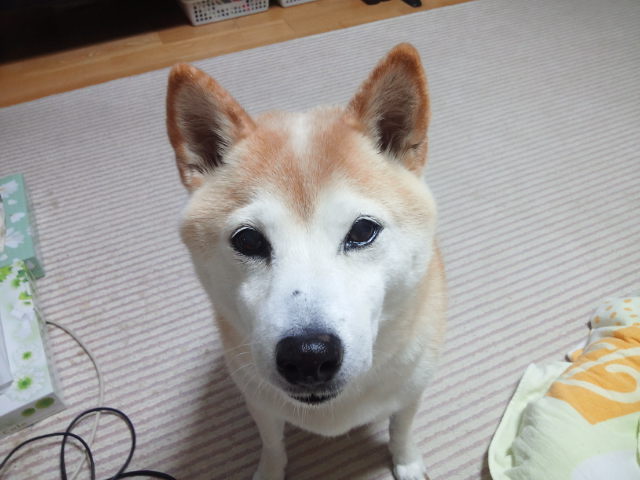 c0060620_10646100.jpg