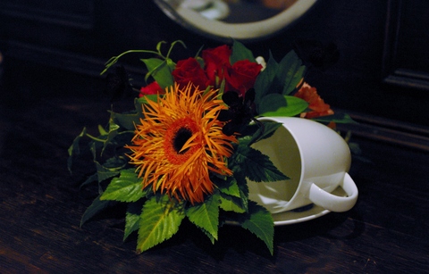 a0052621_221642100.jpg