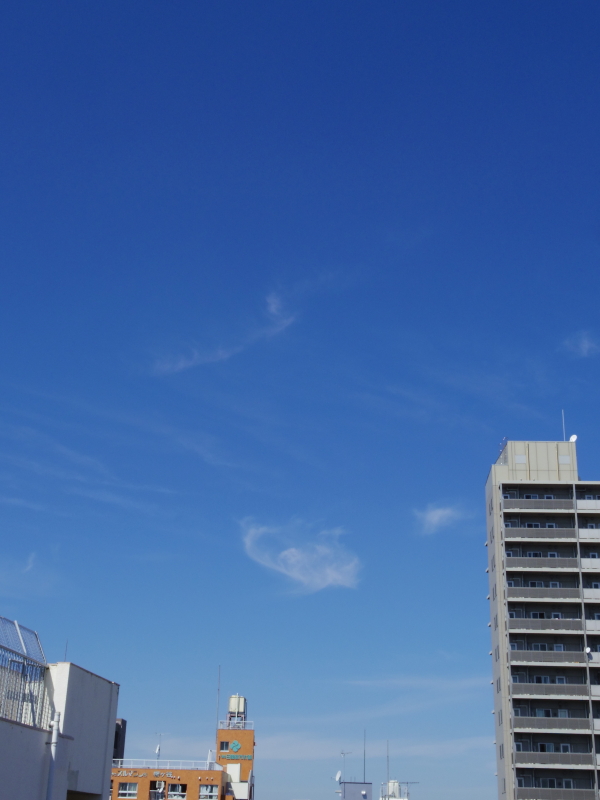 f0000425_20171365.jpg