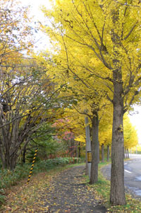 a0046429_22531512.jpg