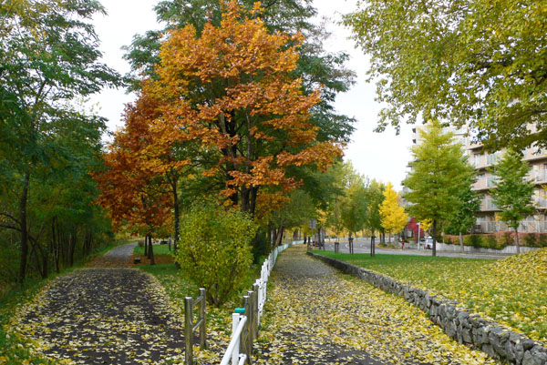 a0046429_22535014.jpg
