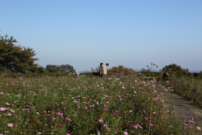 f0017530_22102763.jpg