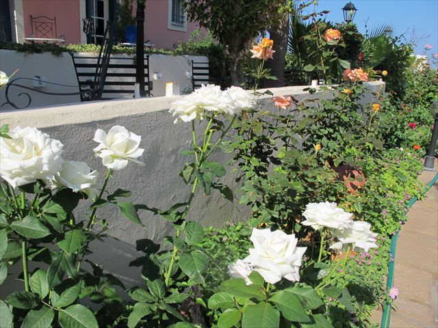 f0224632_17275281.jpg