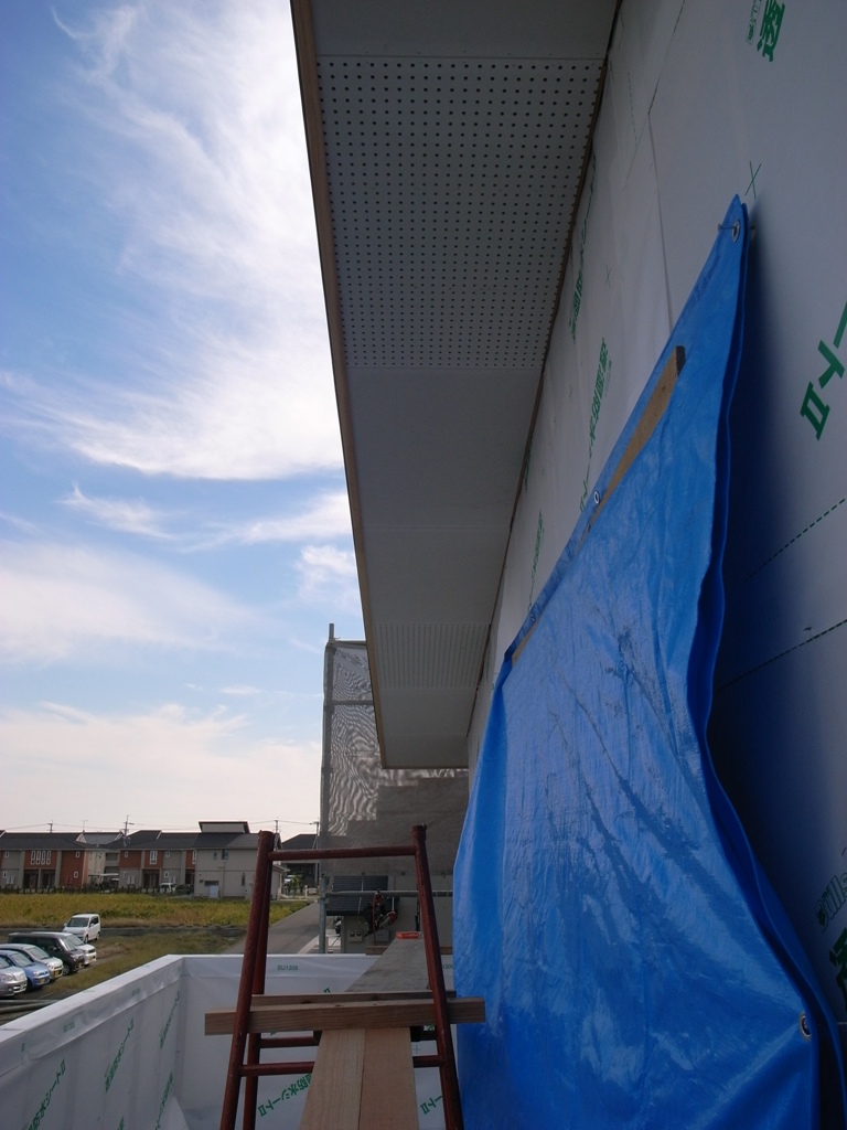 f0176239_1650261.jpg