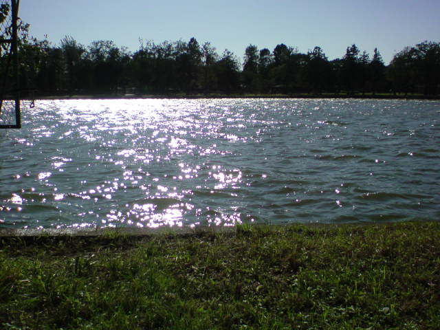b0139044_21495456.jpg
