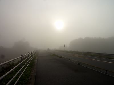 b0220251_20501423.jpg