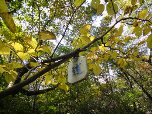 c0179351_19123887.jpg