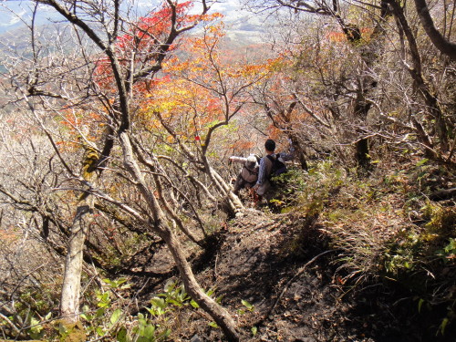 c0179351_1919237.jpg
