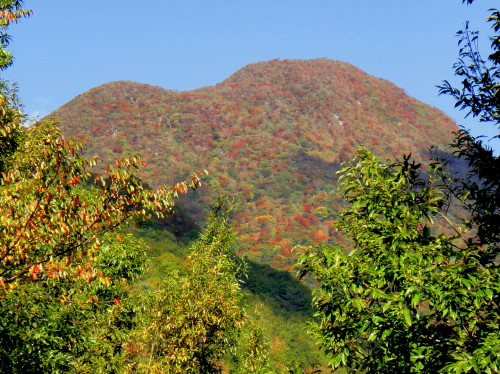 c0179351_1991637.jpg