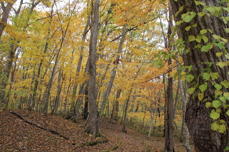 b0250154_00728.jpg