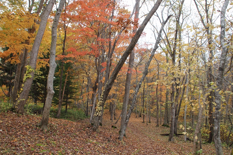 b0250154_2359365.jpg