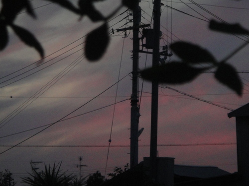 c0108460_2141474.jpg