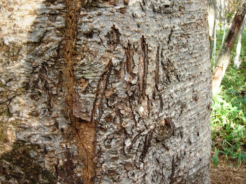 e0151566_2139548.jpg