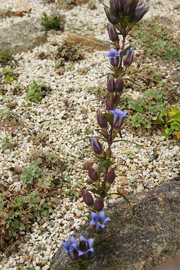f0146466_2230286.jpg