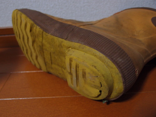 c0122670_20413418.jpg