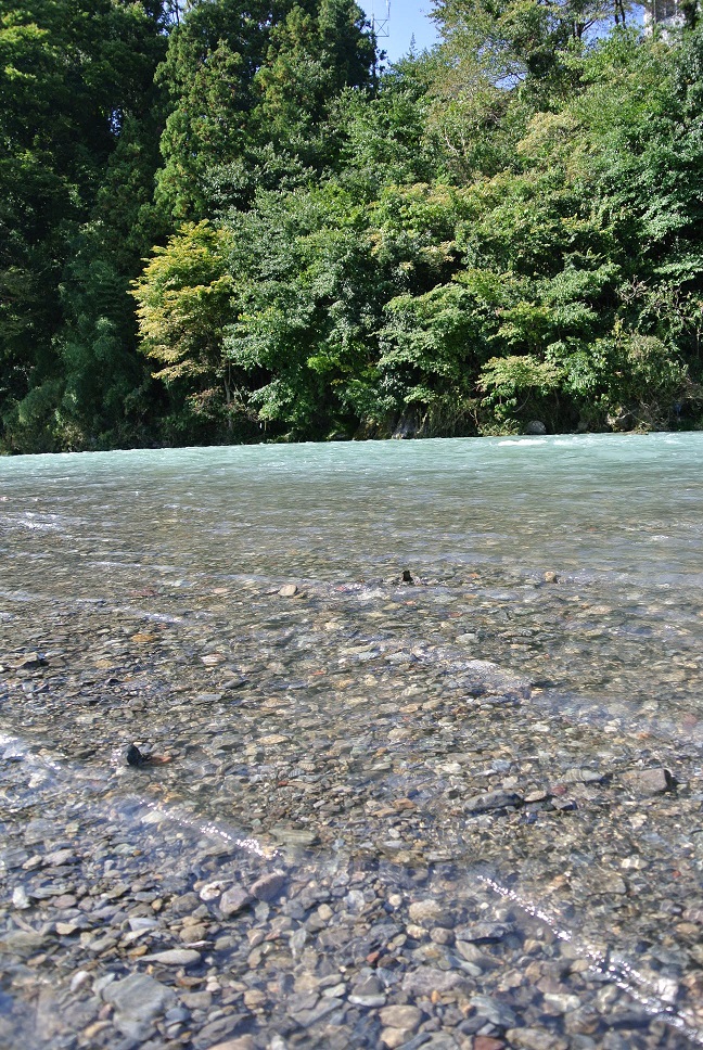 e0025873_23171564.jpg