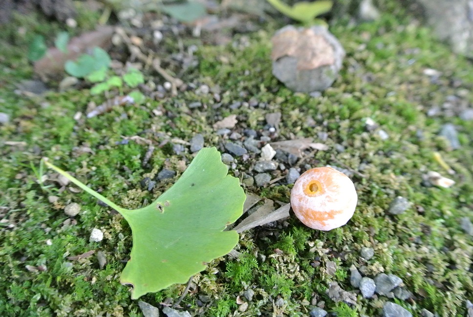 e0025873_23211252.jpg
