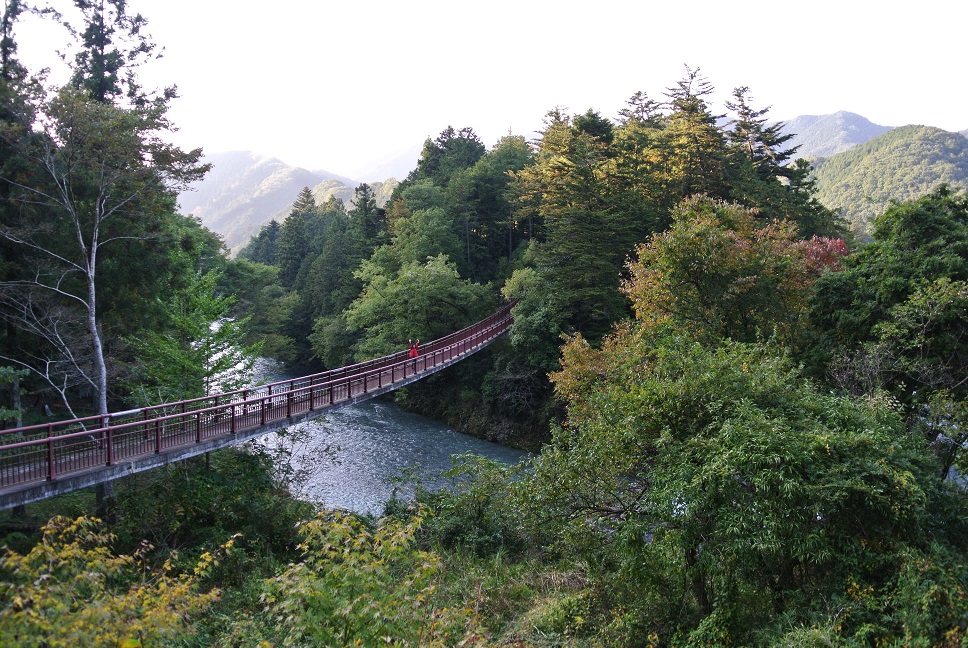 e0025873_23212920.jpg