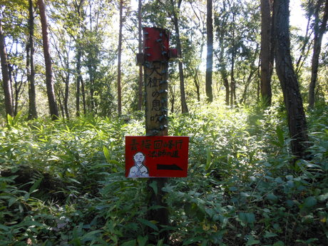c0206177_1863827.jpg