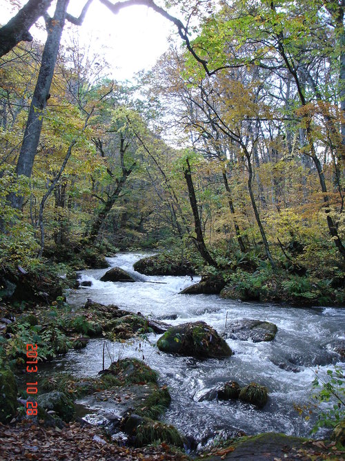 d0165378_14381610.jpg