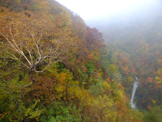 e0145782_6454673.jpg