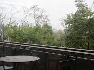 a0142083_1201838.jpg