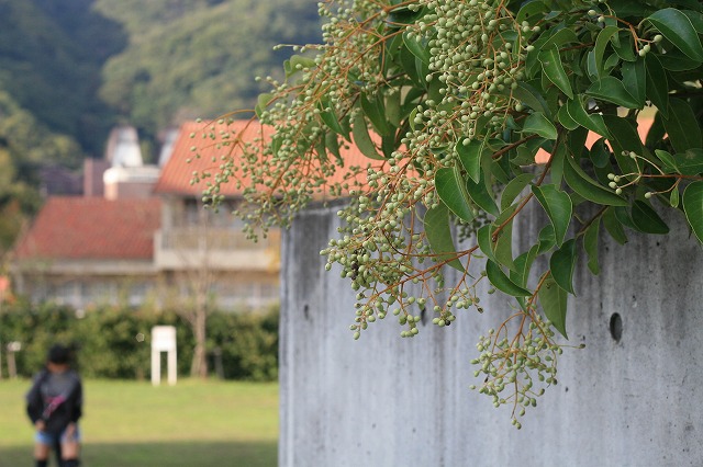 a0165483_9182632.jpg
