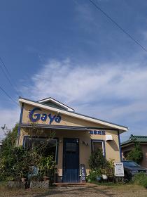 e0130185_1218482.jpg