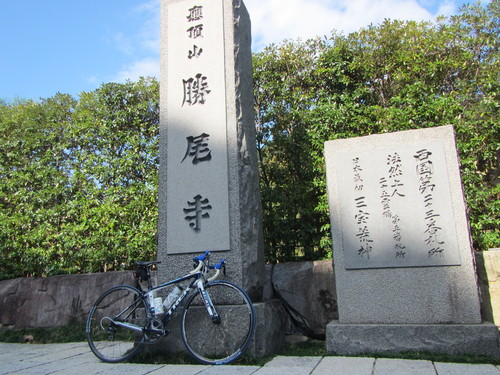 a0251786_844556.jpg