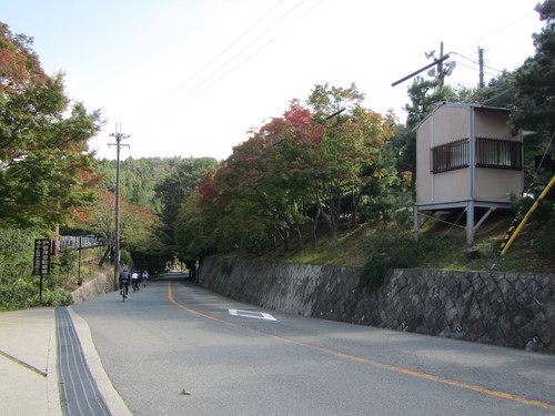 a0251786_846238.jpg