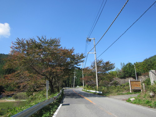 a0251786_8484728.jpg