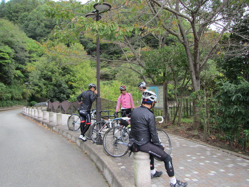 a0251786_851449.jpg