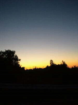 a0243388_1331626.jpg